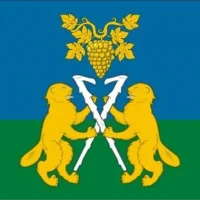 Дума Ницинского сельского поселения