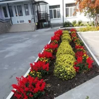 ГБОУ СО «Школа-интернат АОП г. Маркса»