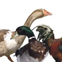 ГБУ "Ветуправление Брюховецкого района"