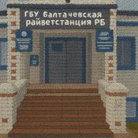 ГБУ Балтачевская райветстанция РБ