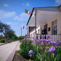 МБОУ "СШ №7 г. Ойсхара"