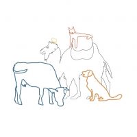 Главное управление ветеринарии Челябинской области