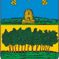 Администрация Темниковского муниципального района РМ