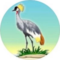 МБДОУ «Д/с «Журавлик»