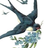 МБДОУ детский сад "Ласточка"