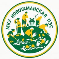 МКУ "Новотаманская ПЭС"