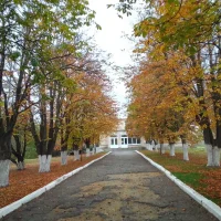 МБОУ Приютинская СОШ