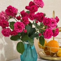 МБДОУ "Старокадеевский детский сад "Гульбакча" ЧМР РТ