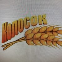 МДОУ детский сад "Колосок"