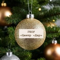 ГБОУ «Центр «Дар»