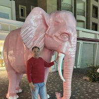 Розовый Слон