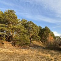 МАООУ ДО «ДЦ «ГУРИНО»