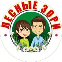 ГБОУ ДО ЛНР "Детский оздоровительный лагерь "Лесные зори"