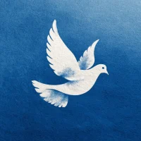 Главное управление по погребению и похоронному делу Вологодской области