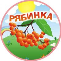 МДОУ "Детский сад N3 "Рябинка"
