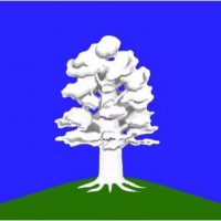 Администрация МО Дубровское сельское поселение