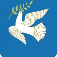 Совет городского поселения город Благовещенск РБ