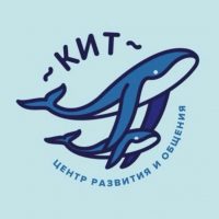 Центр «Кит» с Ириной Шаврыгиной