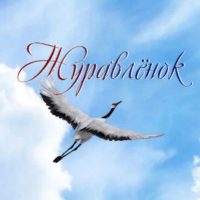 МБДОУ "Детский сад №22 "Журавленок"