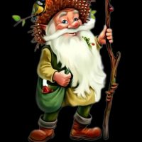 "Лесная сказка" п. Пластун