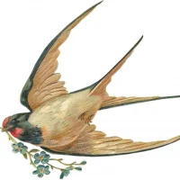 МКДОУ "Липковский д/с "Ласточка"