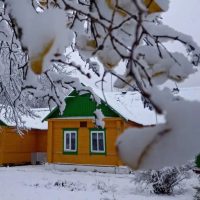 МБОУ "Власовская ООШ"