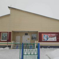 Зерновая НШ-ДС