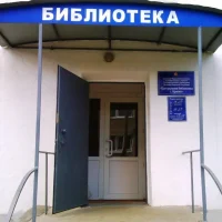 Муниципальное бюджетное учреждение "Централизованная библиотечная система г. Брянки"