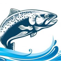 Форель из Карели