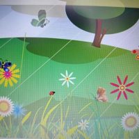 МБДОУ детский сад 9 "Полянка" города Новоалтайска