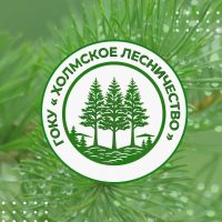 ГОКУ "Холмское лесничество"