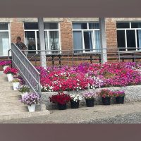 МБОУ "Большеуринская СОШ"