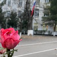 МБОУ «Гимназия №4»