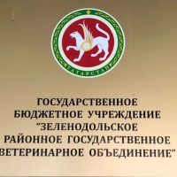 ГБУ "Зеленодольское РГВО"