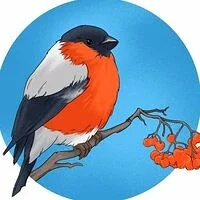 МБДОУ д/с № 30 "Снегирёк"