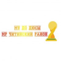 МУ ДО ДЮСШ МР ЧР