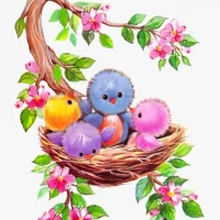 МБДОУ "Гнёздышко"