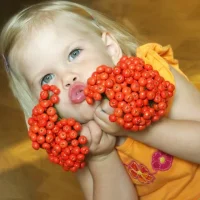 МБДОУ"ЦРР-д/с №34 "Рябинушка"