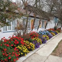 ГКОУ РД "Первомайская СОШ Гумбетовского района"