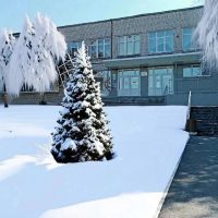 МАОУ СОШ №8 мо Верхний Тагил