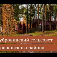 Администрация Дубровинского сельсовета Мошковского района