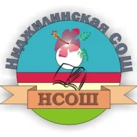 МБОУ "Ниджилинская СОШ"