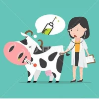 Бакчарское РВУ