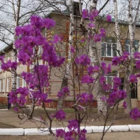 МБДОУ Детский сад № 1 "Солнышко" города Фокино Приморского края