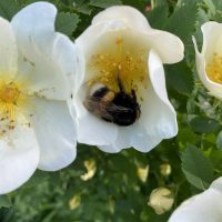 МАДОУ Детский сад 220 канал, чат новостей