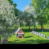 МБДОУ детский сад с. Нечкино