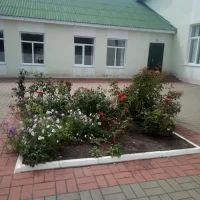 МОУ"Должанская ООШ" Валуйского района Белгородской области