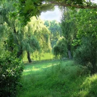 Управление лесами Орловской области