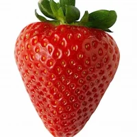 🍓🍓🍓НАТУРАЛЬНЫЕ ДЕРЕВЕНСКИЕ ПРОДУКТЫ В НОРИЛЬСКЕ
