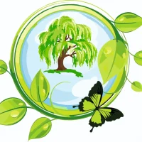 МАДОУ детский сад "Ивушка"